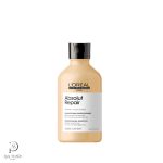 اورال شامپو و پروتئین تراپی موهای آسیب دیده پروفشنال- L َOreal Professionnal Absolut Repair Shampoo