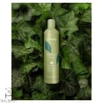 اچ اس لاین شامپو تقویت کننده و انرژی بخش – Echosline Energy Shampoo - تصویر 2